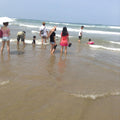 Day at the beach